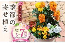 ガーデニング　季節の寄せ植え