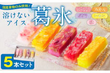 とけないアイス　葛氷5本セット