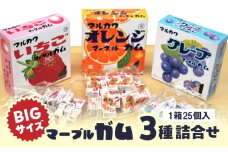 丸川製菓　ビッグサイズマーブルガム　3種詰合せ