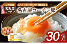 【山ちゃん家の生みたて葉酸たまご】名古屋コーチン卵（30個入り）　［ 新鮮 産地直送 大容量 高級 地鶏 たまご 卵 玉子 タマゴ 葉酸卵 妊娠中 高齢者 朝食 卵料理 卵かけご飯 卵焼き 目玉焼き 山田養鶏 お取り寄せグルメ ］