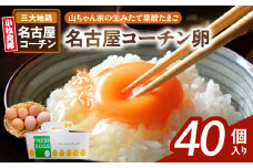 【山ちゃん家の生みたて葉酸たまご】名古屋コーチン卵（40個入り）　［ 新鮮 産地直送 大容量 高級 地鶏 たまご 卵 玉子 タマゴ 葉酸卵 妊娠中 高齢者 朝食 卵料理 卵かけご飯 卵焼き 目玉焼き 山田養鶏 お取り寄せグルメ ］