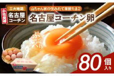 【山ちゃん家の生みたて葉酸たまご】名古屋コーチン卵（80個入り）　［ 新鮮 産地直送 大容量 高級 地鶏 たまご 卵 玉子 タマゴ 葉酸卵 妊娠中 高齢者 朝食 卵料理 卵かけご飯 卵焼き 目玉焼き 山田養鶏 お取り寄せグルメ ］