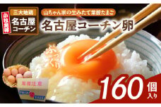 【山ちゃん家の生みたて葉酸たまご】名古屋コーチン卵（160個入り）　［ 新鮮 産地直送 大容量 高級 地鶏 たまご 卵 玉子 タマゴ 葉酸卵 妊娠中 高齢者 朝食 卵料理 卵かけご飯 卵焼き 目玉焼き 山田養鶏 お取り寄せグルメ ］