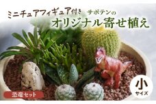 サボテンのオリジナル寄せ植え（小）【恐竜セット】