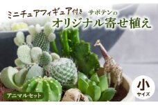 サボテンのオリジナル寄せ植え（小）【アニマルセット】