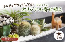 サボテンのオリジナル寄せ植え（大）【恐竜セット】