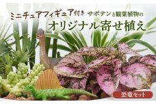サボテンと観葉植物のオリジナル寄せ植え【恐竜セット】［ 本格サボテン 産地直送 フィギュア インテリア ギフト プレゼント オシャレ かわいい 人気 多肉植物 ］