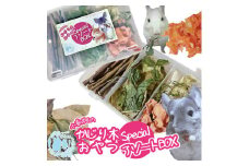 fuu 小動物のかじり木・おやつ　SpecialアソートBOX（2個）　［ 小動物 野菜 野草 果樹 国産 葉っぱ ナチュラル 無添加 無着色 ペットフード ごはん おやつ エサ えさ 餌 詰め合わせ ］