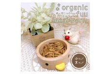 fuu オーガニックfuuミルワーム（大）［ カップ入り 生き餌 活き餌 活エサ えさ 小動物 小鳥 フード おやつ 栄養 たんぱく質 ミネラル ハリネズミ モモンガ 爬虫類 両生類 熱帯魚 ］