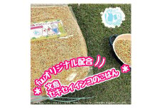 fuu 文鳥・セキセイインコのごはん（400g）　［ 小鳥の餌 インコ フィンチ 文鳥 セキセイ 小型インコ 餌 えさ エサ 主食 ペットフード ］