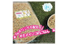 fuu オカメインコのごはん（3kg）　［ 小鳥の餌 インコ 中型インコ 餌 えさ エサ 主食 ペットフード ］