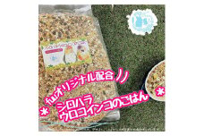 fuu シロハラインコ・ウロコインコのごはん（800g）　［ 小鳥の餌 インコ 中型インコ 餌 エサ えさ 主食 ペットフード ］