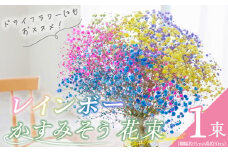 【佳花園】レインボーかすみそう 花束