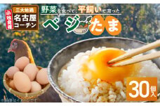 【医師監修】野菜を食べて育った平飼いの卵「名古屋コーチン ベジたま」（30個入り）