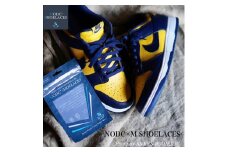 NODC M SHOELACES ３セット