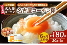 【6ヶ月定期便】【山ちゃん家の生みたて葉酸たまご】名古屋コーチン卵（30個入り）