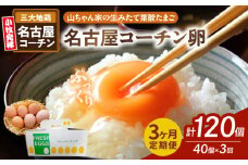 【3ヶ月定期便】【山ちゃん家の生みたて葉酸たまご】名古屋コーチン卵（40個入り）