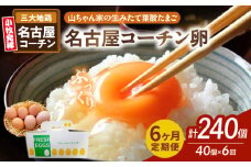 【6ヶ月定期便】【山ちゃん家の生みたて葉酸たまご】名古屋コーチン卵（40個入り）