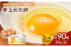【3ヶ月定期便】【山ちゃん家の生みたて葉酸たまご】赤玉元気卵（30個入り）