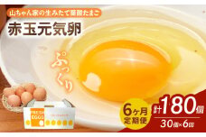 【6ヶ月定期便】【山ちゃん家の生みたて葉酸たまご】赤玉元気卵（30個入り）
