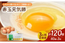 【3ヶ月定期便】【山ちゃん家の生みたて葉酸たまご】赤玉元気卵（40個入り）