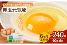 【6ヶ月定期便】【山ちゃん家の生みたて葉酸たまご】赤玉元気卵（40個入り）