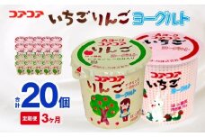 【3ヶ月定期便】愛知ヨーク　コアコアいちご・コアコアりんご　20個入