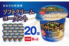 【6ヶ月定期便】愛知ヨーク　ソフトクリームヨーグルト　20個入