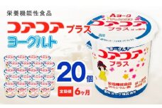 【6ヶ月定期便】愛知ヨーク　コアコアプラスヨーグルト　20個入