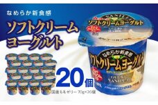 愛知ヨーク　ソフトクリームヨーグルト　20個入