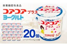愛知ヨーク　コアコアプラスヨーグルト　20個入　（栄養機能性食品）