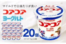 【3ヶ月定期便】愛知ヨーク　コアコアヨーグルト　20個入