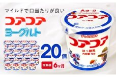 【6ヶ月定期便】愛知ヨーク　コアコアヨーグルト　20個入