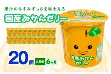 【6ヶ月定期便】愛知ヨーク　国産みかんゼリー　20個入
