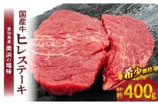 【食肉総合卸 丸正】国産牛ヒレステーキ400ｇ 愛知県産美浜の塩味