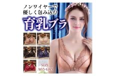ノンワイヤー育乳ブラ