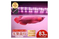 朱紫龍灯 リバイブソード EX LED 2列 UV 紅龍|AR2-90-UV-EX