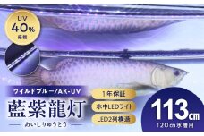 スリム&高耐久!金龍を美しく、UV-Aチップ配合の水中LED|AK-120UV-EX
