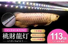 金龍の鱗を美しく照らす!ピンクゴールドの水中アロワナライト|PG120-EX