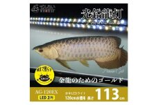 水槽全体を明るく照らし、鱗を際立たせる!金龍専用の高輝度水中ライト|AG120-EX