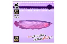 変化を体感!水を赤くせず、紅龍だけ美しく魅せる水中LEDライト|AR120-EX