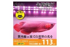 水中から直接照射可、UV-A搭載のアロワナ用LEDライト|AR2-120-UV-EX