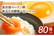 【山ちゃん家の生みたて葉酸たまご】名古屋コーチン卵・赤玉元気卵 食べ比べセット（各40個 合計80個入り）