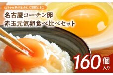 【山ちゃん家の生みたて葉酸たまご】名古屋コーチン卵・赤玉元気卵 食べ比べセット（各80個 合計160個入り）