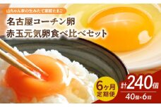 【6ヶ月定期便】【山ちゃん家の生みたて葉酸たまご】名古屋コーチン卵・赤玉元気卵 食べ比べセット（各20個 合計40個入り）