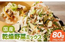 【数量限定】国産乾燥野菜ミックス80g(40g×2袋)