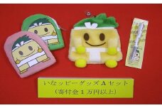 ☆いなッピーグッズＡセット