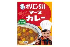 ☆オリエンタルなつかしのカレー＆ハヤシセット（3種類9個+オリジナルスプーン付）