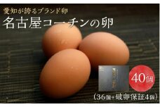 ☆名古屋コーチンの卵40個入り（36個+破卵保証4個）