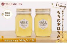 ☆稲沢のモチの木はちみつ【500ｇ×２本】